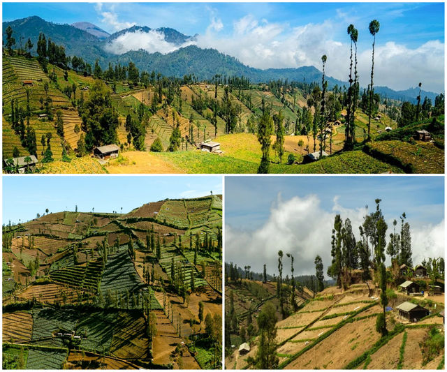 攻略｜布羅莫火山旅遊的其他景點