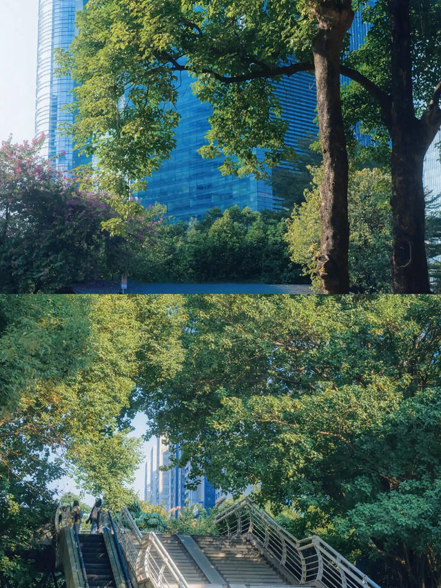 花開時遇見佛，花落時讀懂眾生