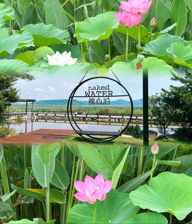 上海周邊！住進園林別墅邂逅太湖浪漫