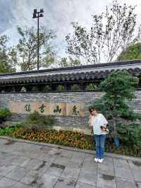 🌳《一棵金樹與一場柔軟的邂逅──我的惠山古鎮漫行記》