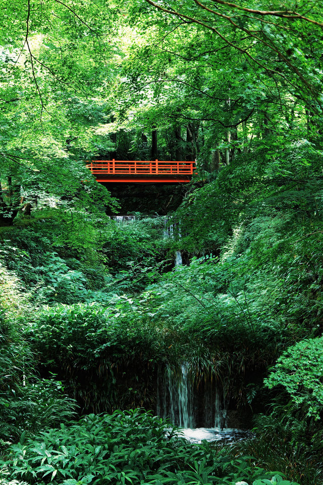日航員工推薦｜京都，夏日避暑正確打開方式