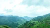郴州仰天湖高山草甸，全網最全玩樂攻略