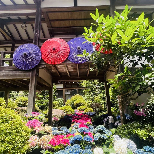 🌊 Ibaraki Summer Adventure: Hidden Gems Near Tokyo!