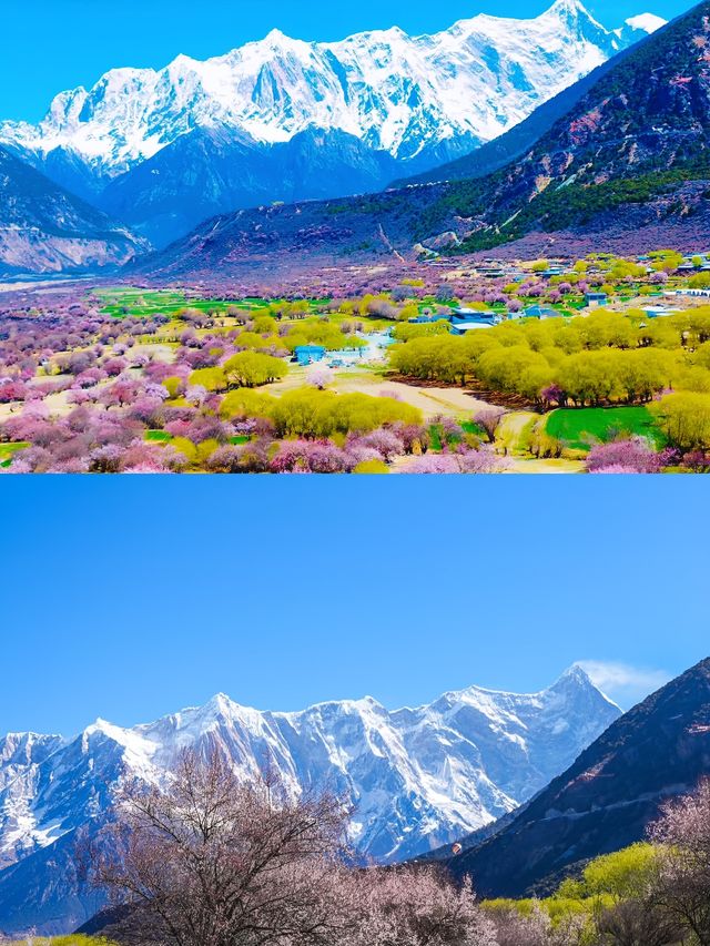 暑假帶娃去林芝，真的香麻了！