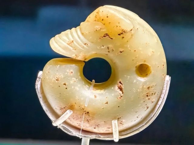 終於等到你！上海博物館紅山玉器展5000年群龍出動