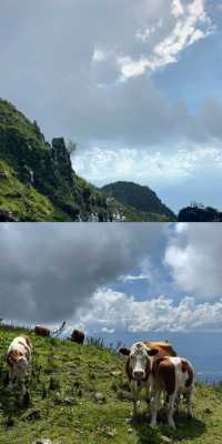 節基坪，徒步愛好者嘅寶藏之地（超詳細登山路線嚟啦）
