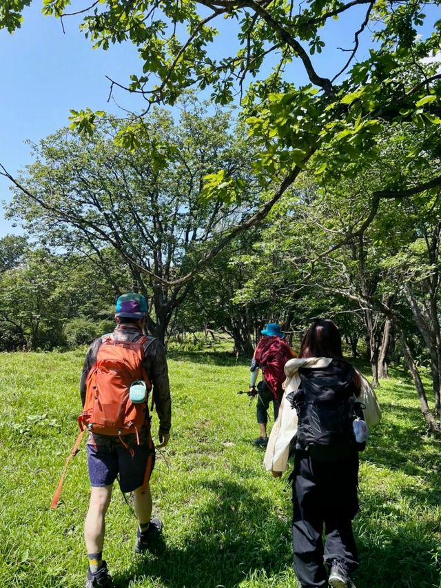 本溪｜淌石溝-東大崗-刺花溝