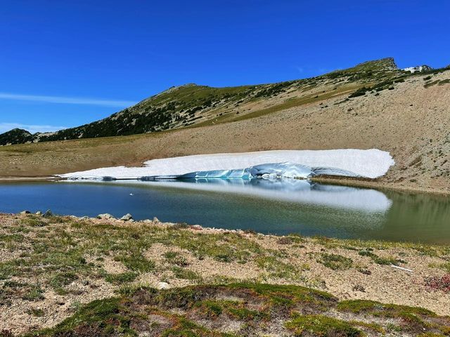 徒步愛好者嘅聖地：雷尼爾山徒步全攻略