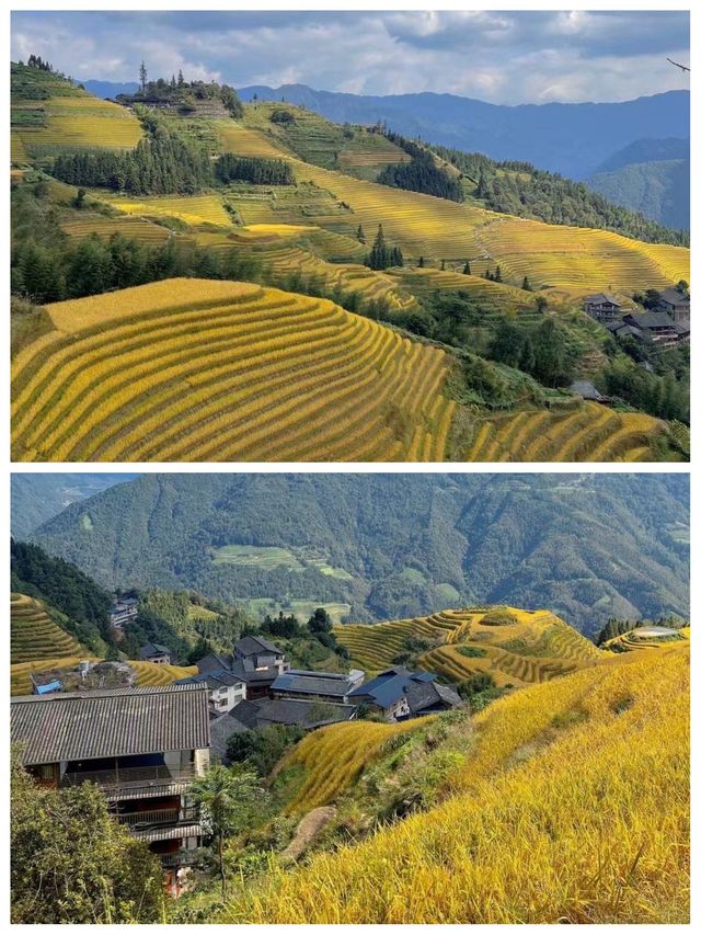 剛從龍脊梯田返嚟，講啲難聽嘅大實話