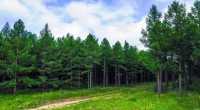 #大自然美景 以下係一份塞罕壩五日旅遊攻略，等你可以喺暑假盡情欣賞塞罕壩嘅美景：

第一天：抵達塞罕壩