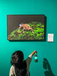 避暑好去處！南寧暑假帶娃睇展首選！