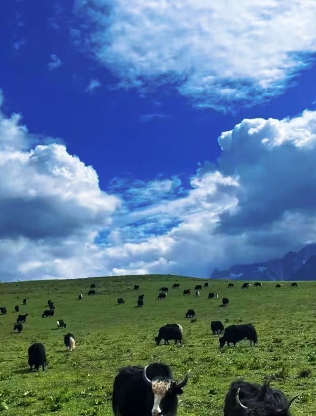 預算2000元 5日4夜遊雲南昆明