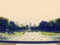 大阪隱世綠洲！難波公園沉浸式體驗報告】**  
