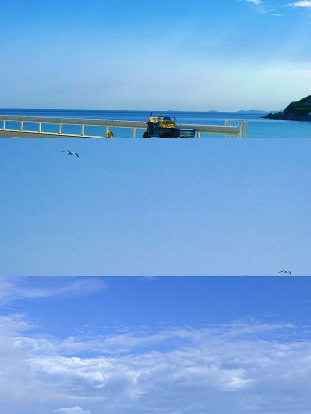 上海周邊枸杞島，夏日清涼嘅小眾驚喜
