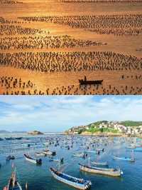 解鎖上海周邊枸杞島，玩水避暑全攻略！