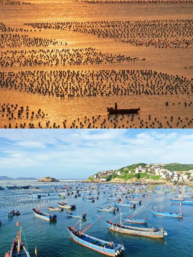 解鎖上海周邊枸杞島，玩水避暑全攻略！
