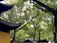 去咗4次西園寺，終於玩到明！