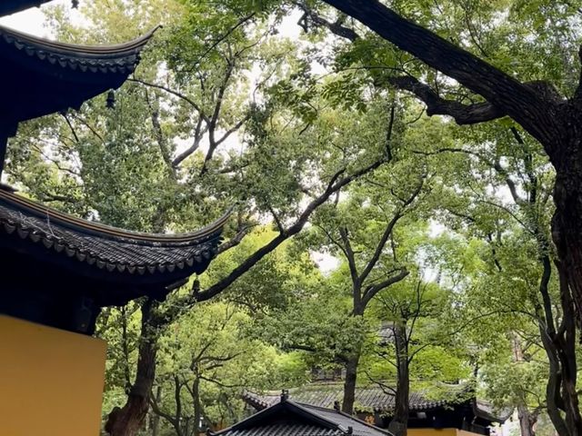 去咗4次西園寺，終於玩到明！