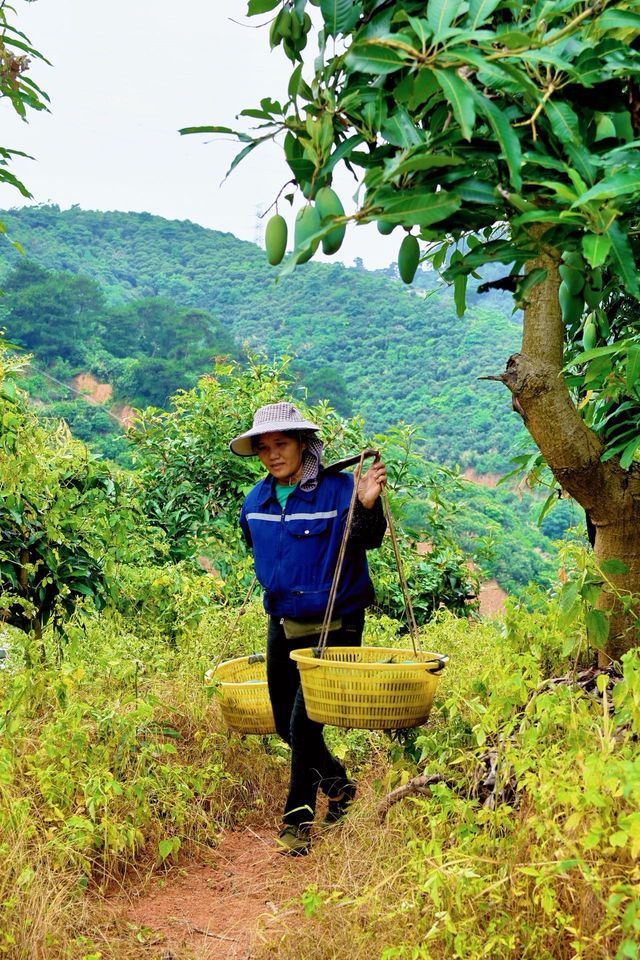 暑假嚟廣西旅遊，mark低呢份攻略穩賺唔蝕~