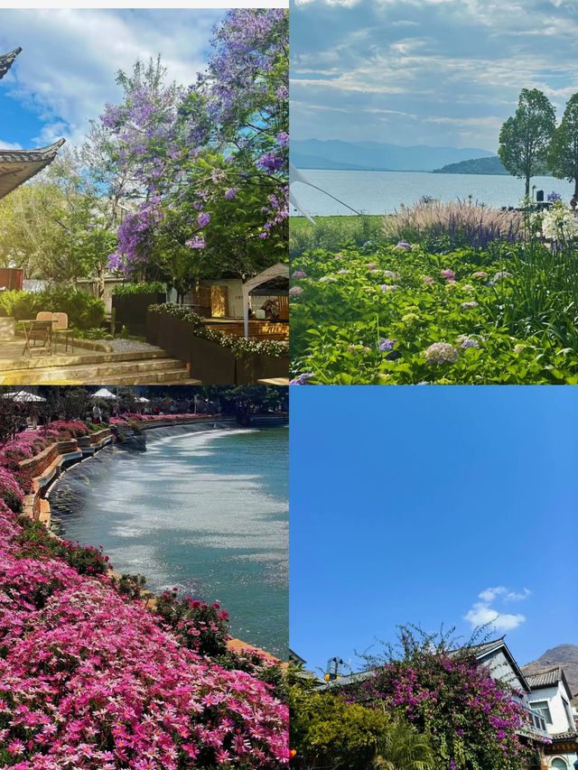 喺大理雙廊零蚊影到夢幻場景！