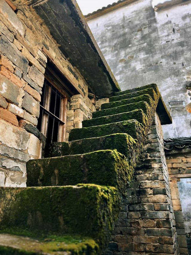 探秘上坦村，邂逅水墨江南