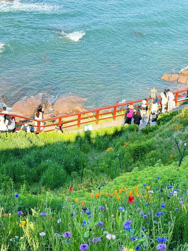10月青島必打卡燕兒島木棧道錯峰拍照首選！