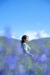 新都橋嘅薰衣草開花啦，夏日限定嘅浪漫紫色花海！