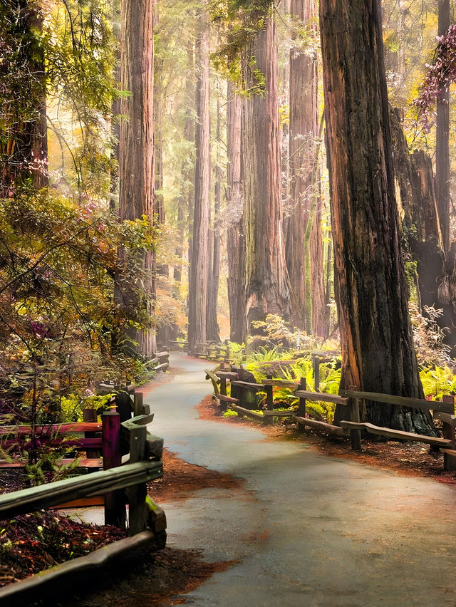 舊金山近郊一日遊 | 私藏景點合集
