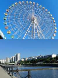 陽泉受苦已回，要去的姊妹慎重。