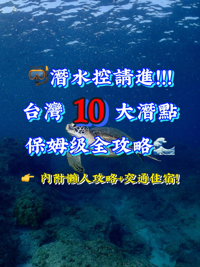🤿潛水人必收！台灣10大潛點攻略全打包🌊