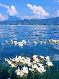 瀘沽湖已回，真心建議8月要來的姊妹…