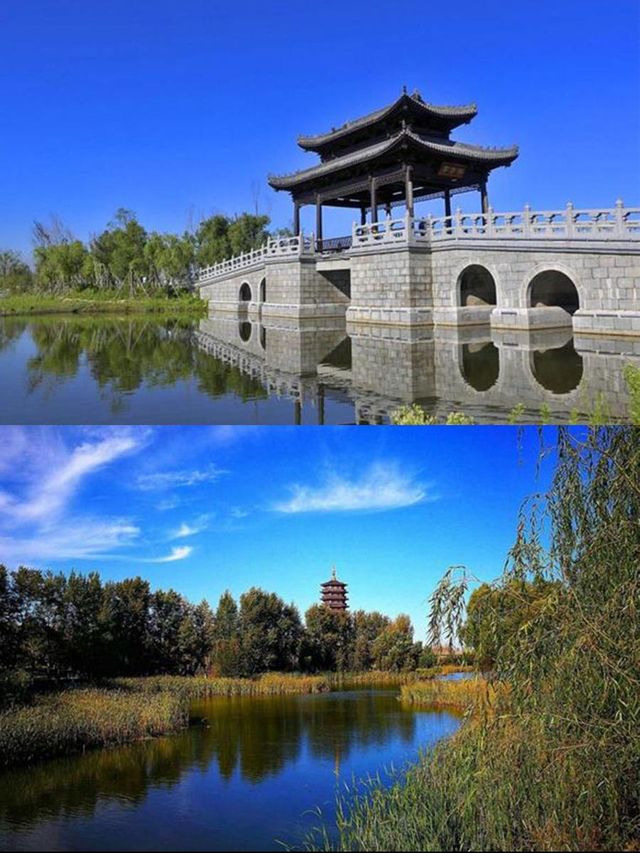 北湖旁，麗楓的自在夢境