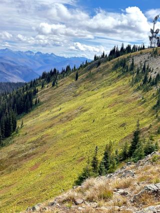The ultimate family hiking experience in Manning! Take your kids into a fairy tale