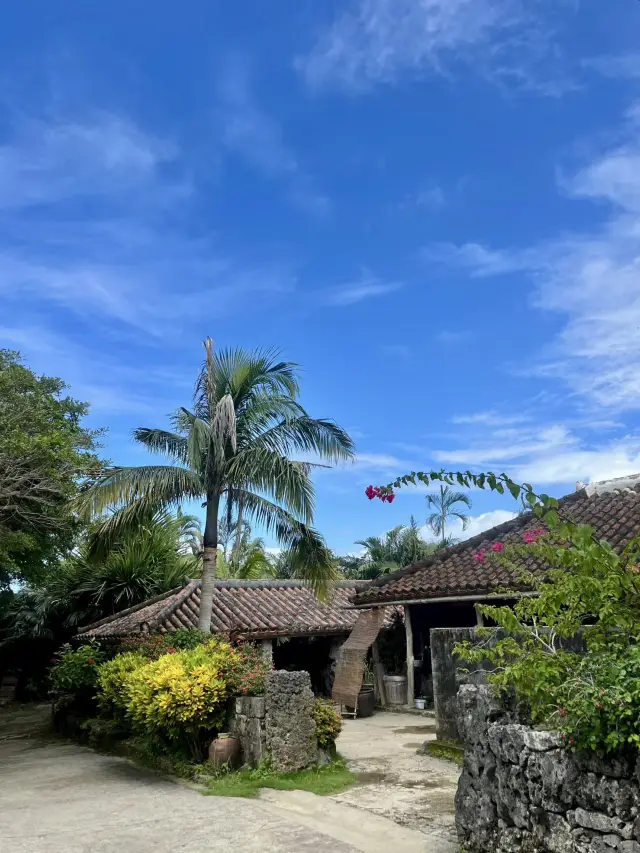 Ryukyu Village｜Step into the Timeless Traditions of Ryukyu