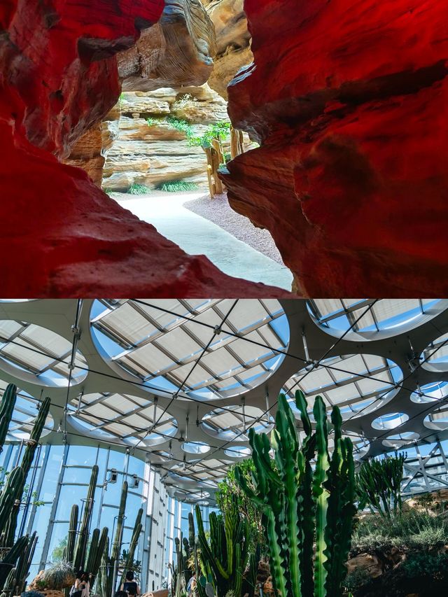 夢幻溫室花園冇白嚟！湊B好去處