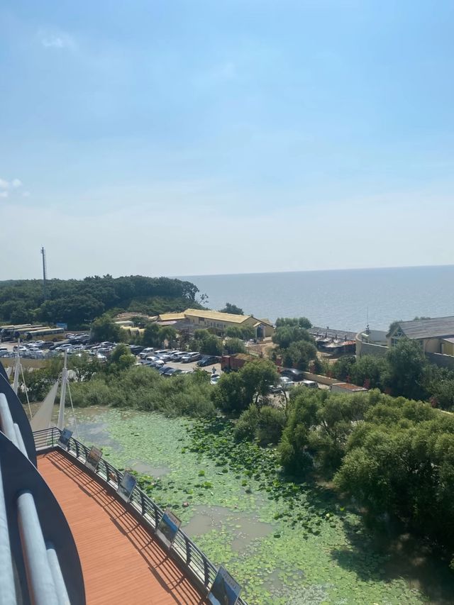 興凱湖：中俄界湖秘境之旅
