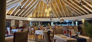 "A Little Gem on Praslin Island"