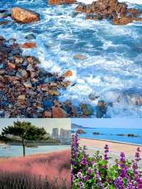 被問爆的青島小眾拍照地 海之戀Park