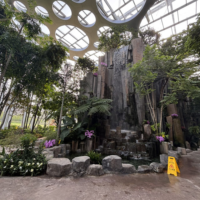 【上海】上海温室花園🪴｜写真映え×自然癒し×屋内観光にぴったり！