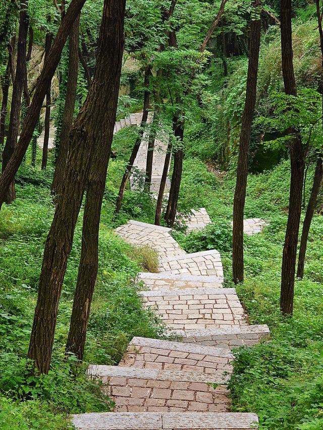 泰安｜泰山東御道出發，風景從不是終點