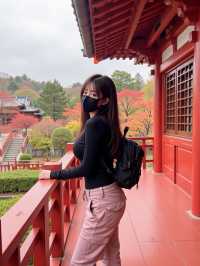 日光紅葉，秋日限定
