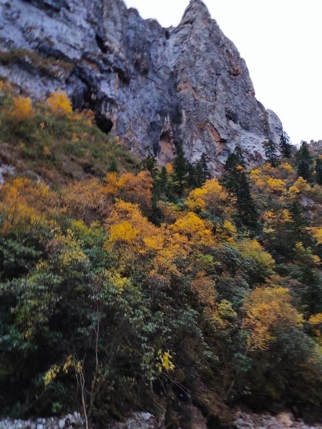 甘南密境｜扎尕那騎馬4小時超詳細攻略
