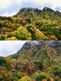 光霧山紅葉暴擊！自由行抄作業