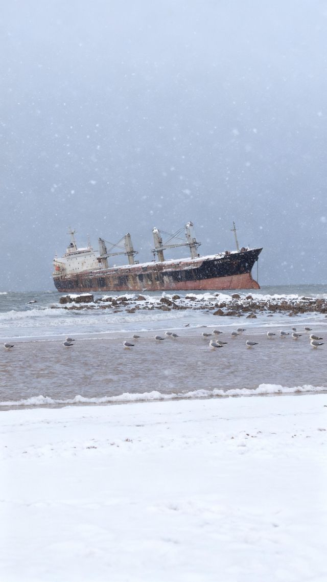 七日赴雪約：煙台與威海的冬日私語