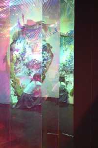 在武漢看了一個美美的小展