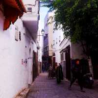 Casablanca’s Hidden Alleyways – Stories Behind the Walls 🌿