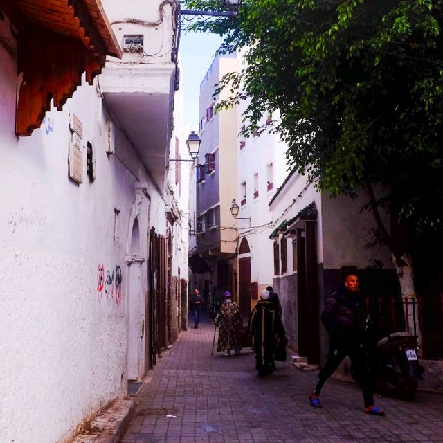 Casablanca’s Hidden Alleyways – Stories Behind the Walls 🌿