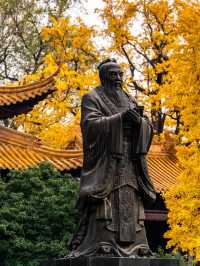 南京｜朝天宮 銀杏狀態在線 但還未到觀賞期