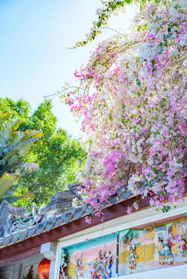 Shenzhen Workers' Zero-Cost Hobby Ultimate Guide｜Free Attractions That Will Blow Up Your Moments!