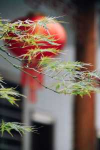 #古建築之美 #莆田打卡 #徽派建築 #莆田 涵江梧塘泉林寺——一座歷史悠久的佛教寺院，其始建於唐代